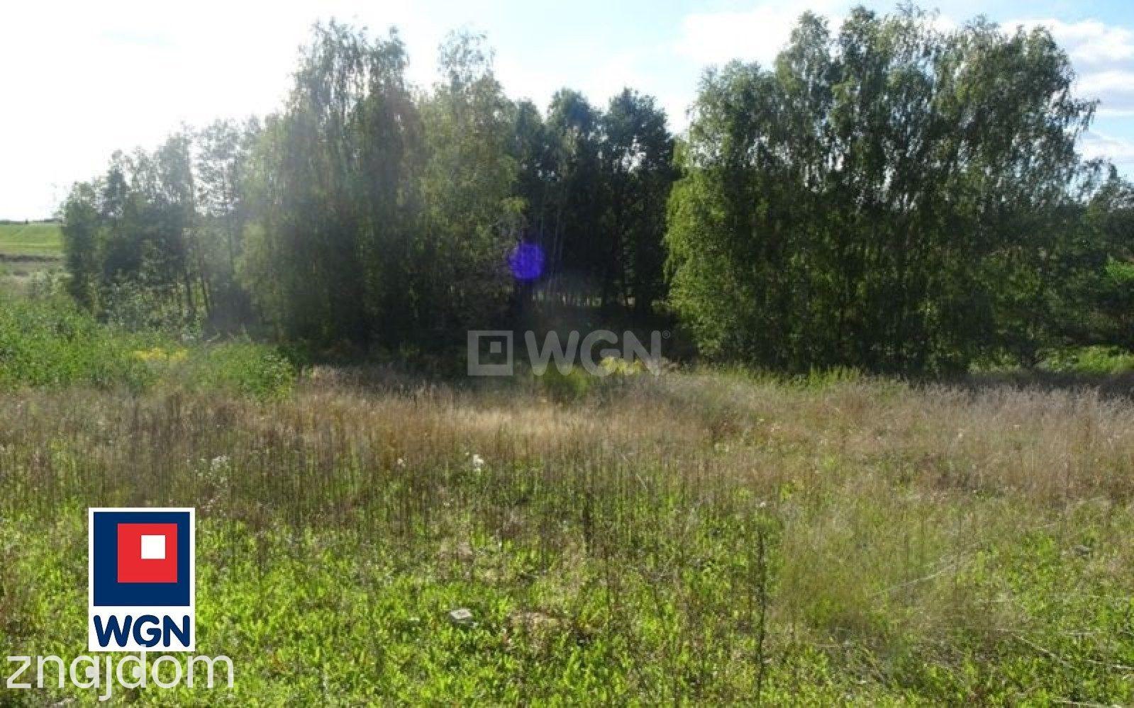 Grunt budowlany jednorodzinny na sprzedaż Sikory - Działki budowlane w pobliżu Rypina. - zdjęcie 4