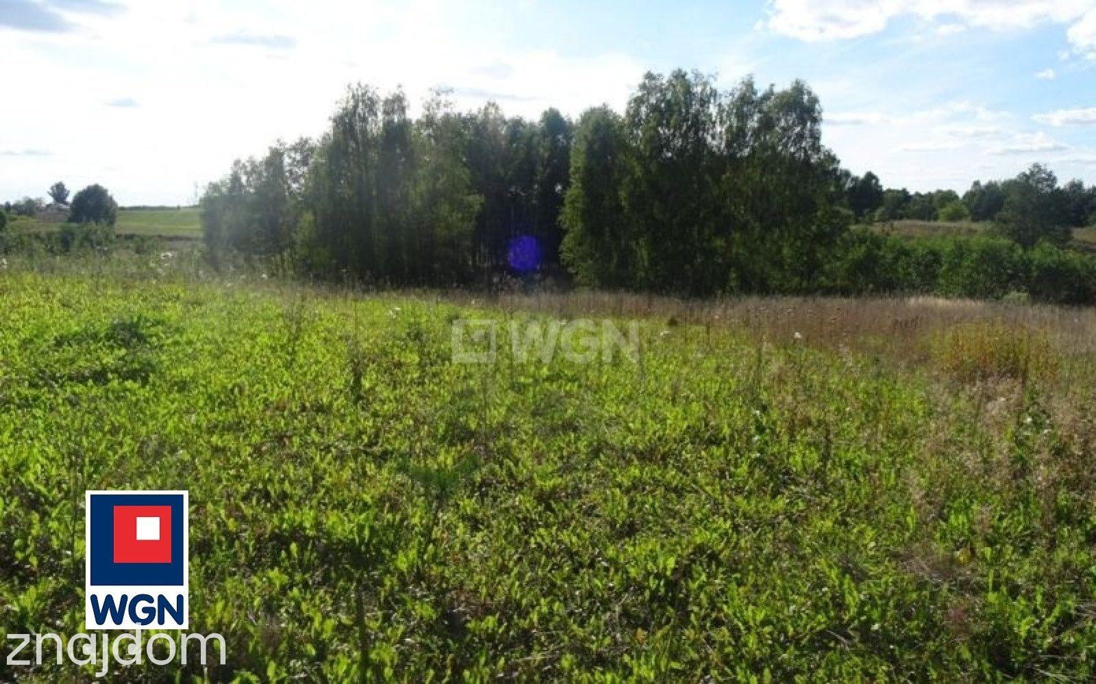 Grunt budowlany jednorodzinny na sprzedaż Sikory - Działki budowlane w pobliżu Rypina. - zdjęcie 13