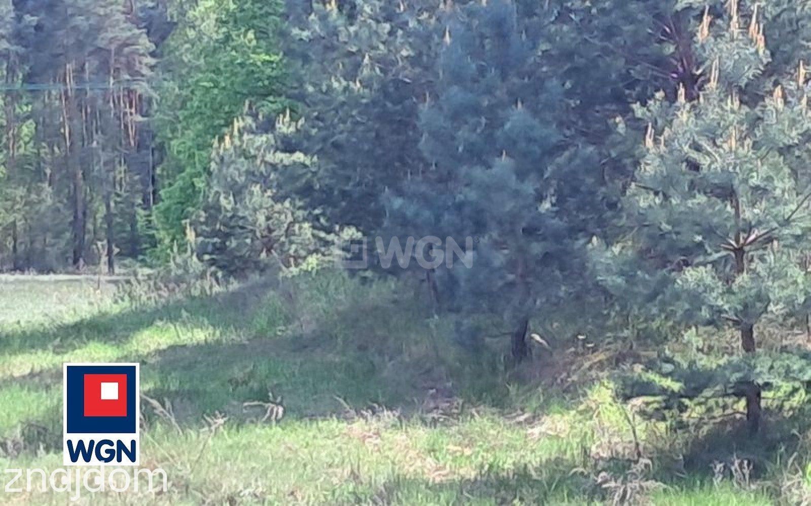 Grunt budowlany jednorodzinny na  sprzedaż Bobrowiska - DWIE SĄSIADUJĄCE DZIAŁKI w pobliżu Drwęcy - zdjęcie 4