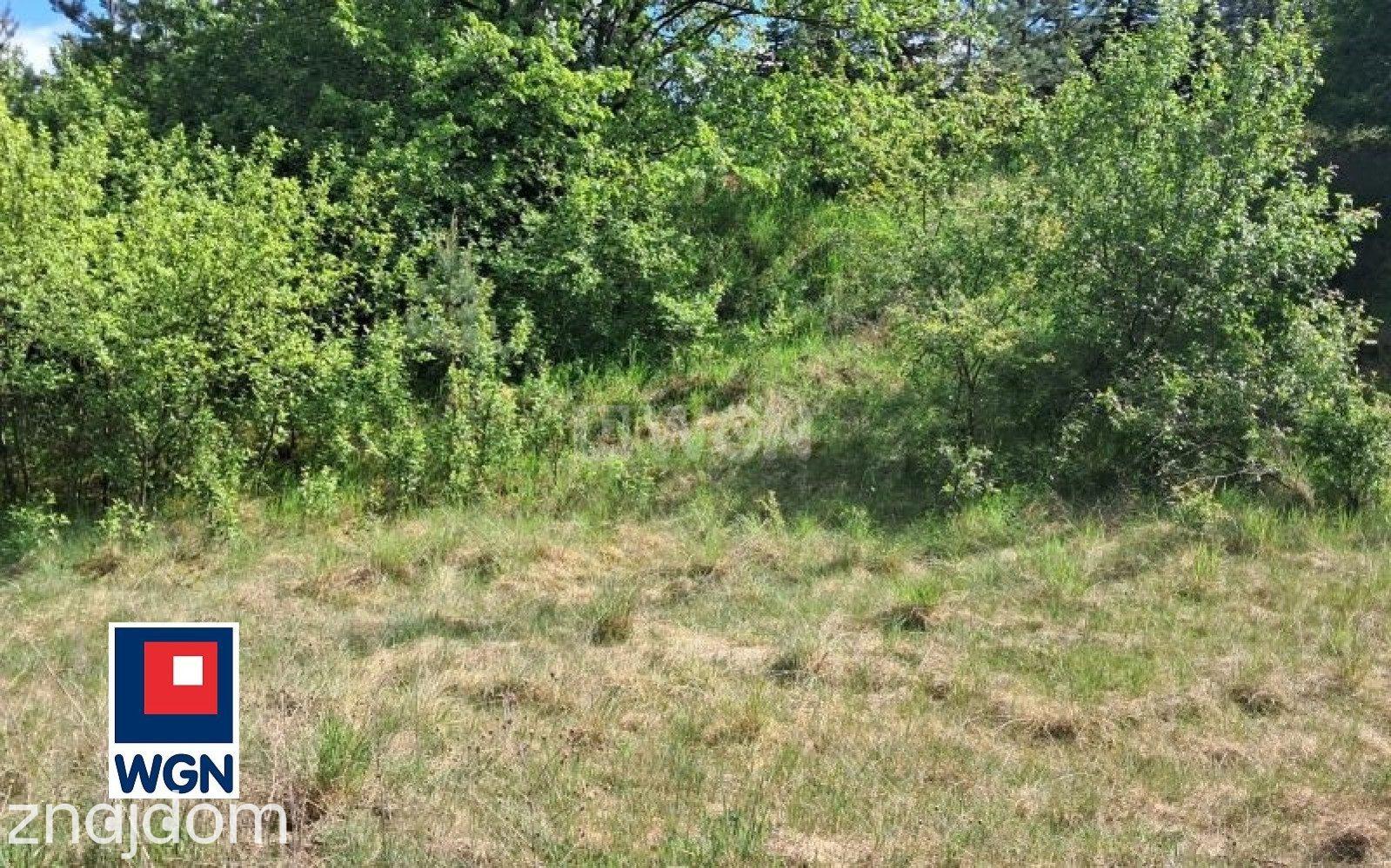 Grunt budowlany jednorodzinny na  sprzedaż Bobrowiska - DWIE SĄSIADUJĄCE DZIAŁKI w pobliżu Drwęcy - zdjęcie 8