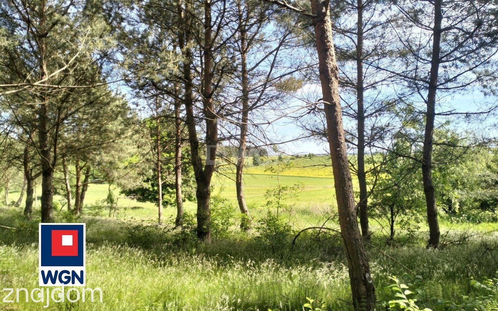 Działka na sprzedaż Osetno - zdjęcie 12