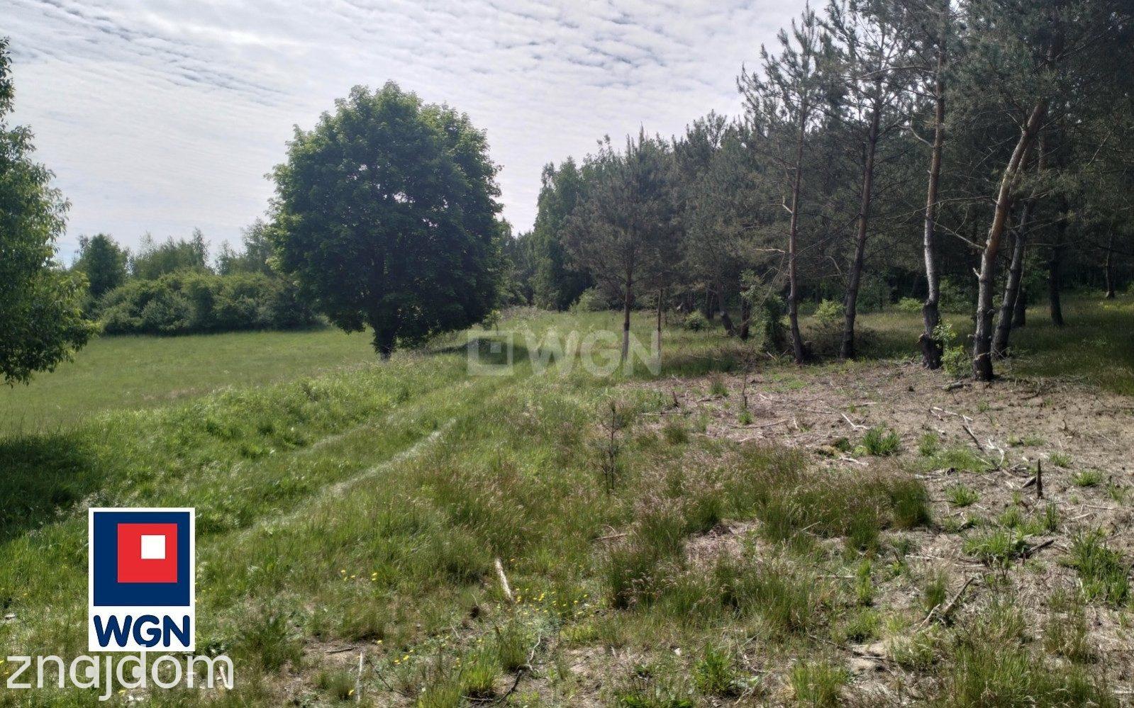 Działka na sprzedaż Osetno - zdjęcie 7