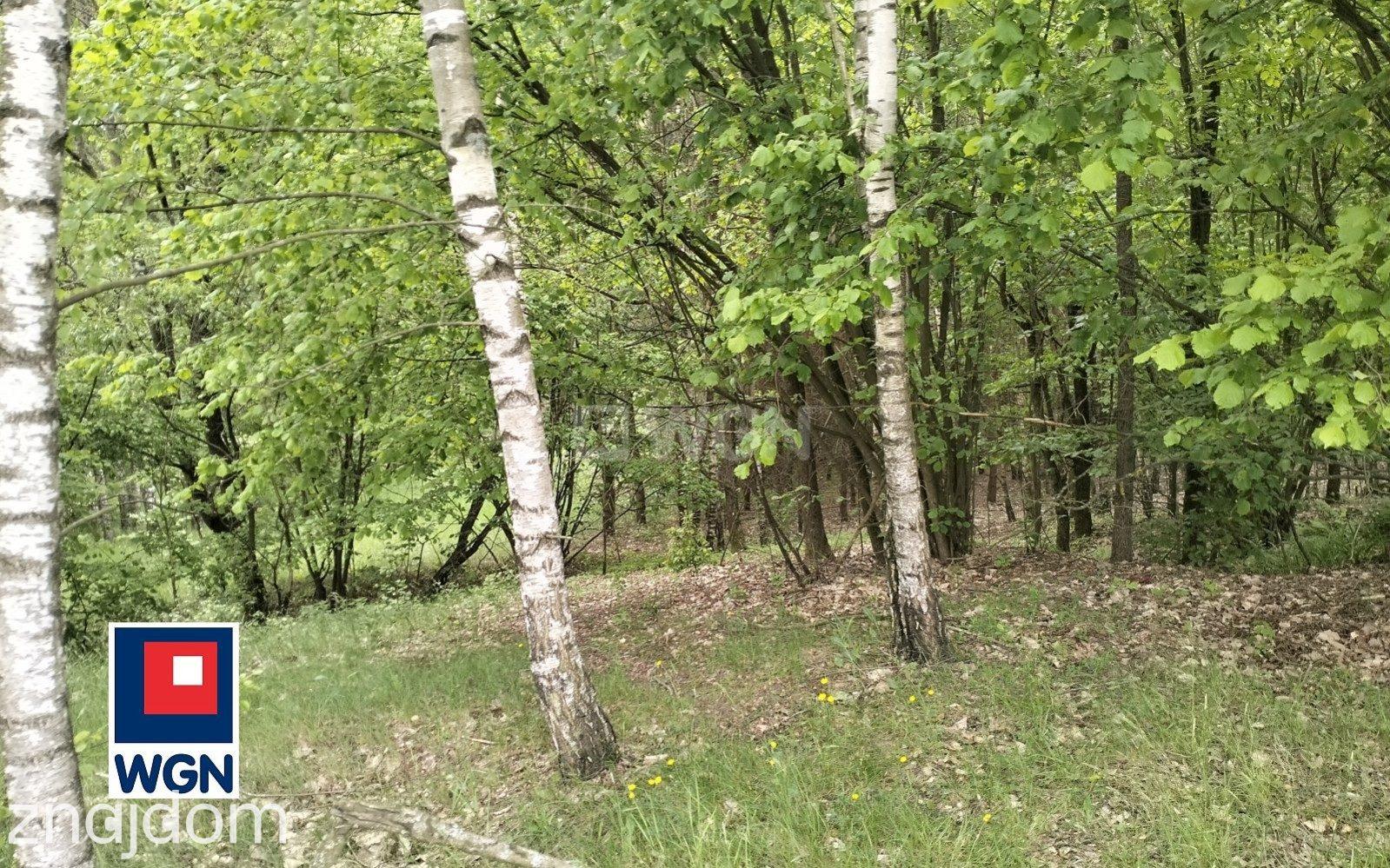 Działka na sprzedaż Kąciki - zdjęcie 12