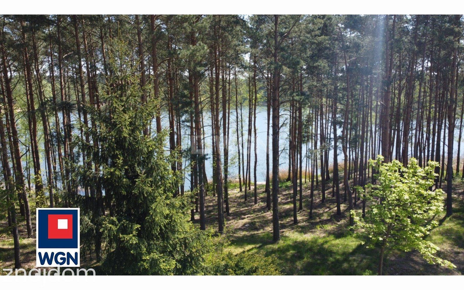 Działka na sprzedaż Osiek nad Wisłą - zdjęcie 6