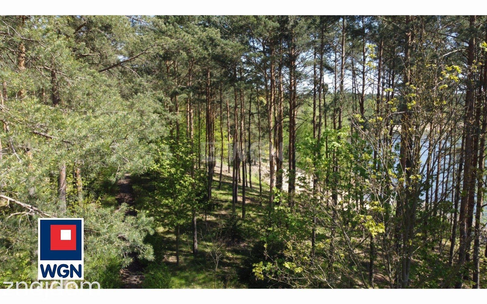 Działka na sprzedaż Osiek nad Wisłą - zdjęcie 3