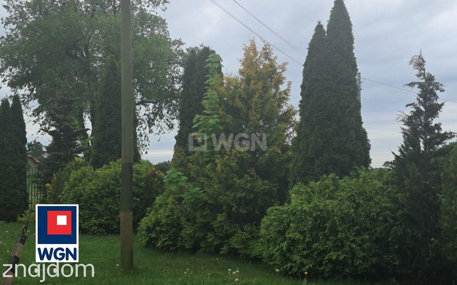 Dom na  sprzedaż Pinino - Bliźniak z budynkami produkcyjnymi - zdjęcie 11
