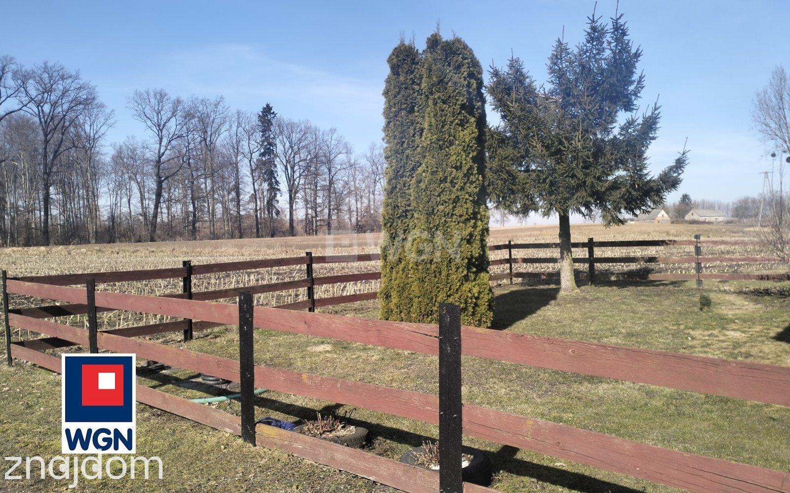 Dom na sprzedaż Tylice - Tani dom na dużej działce w Powiecie Brodnickim - zdjęcie 16