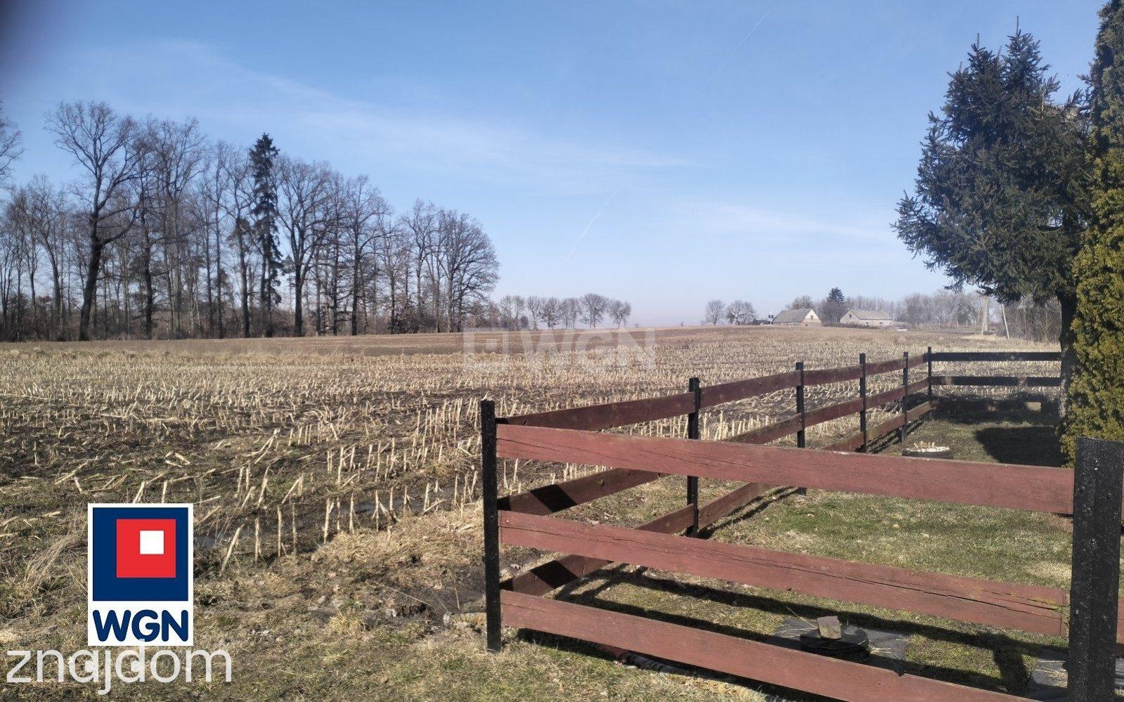 Dom na sprzedaż Tylice - Tani dom na dużej działce w Powiecie Brodnickim - zdjęcie 15