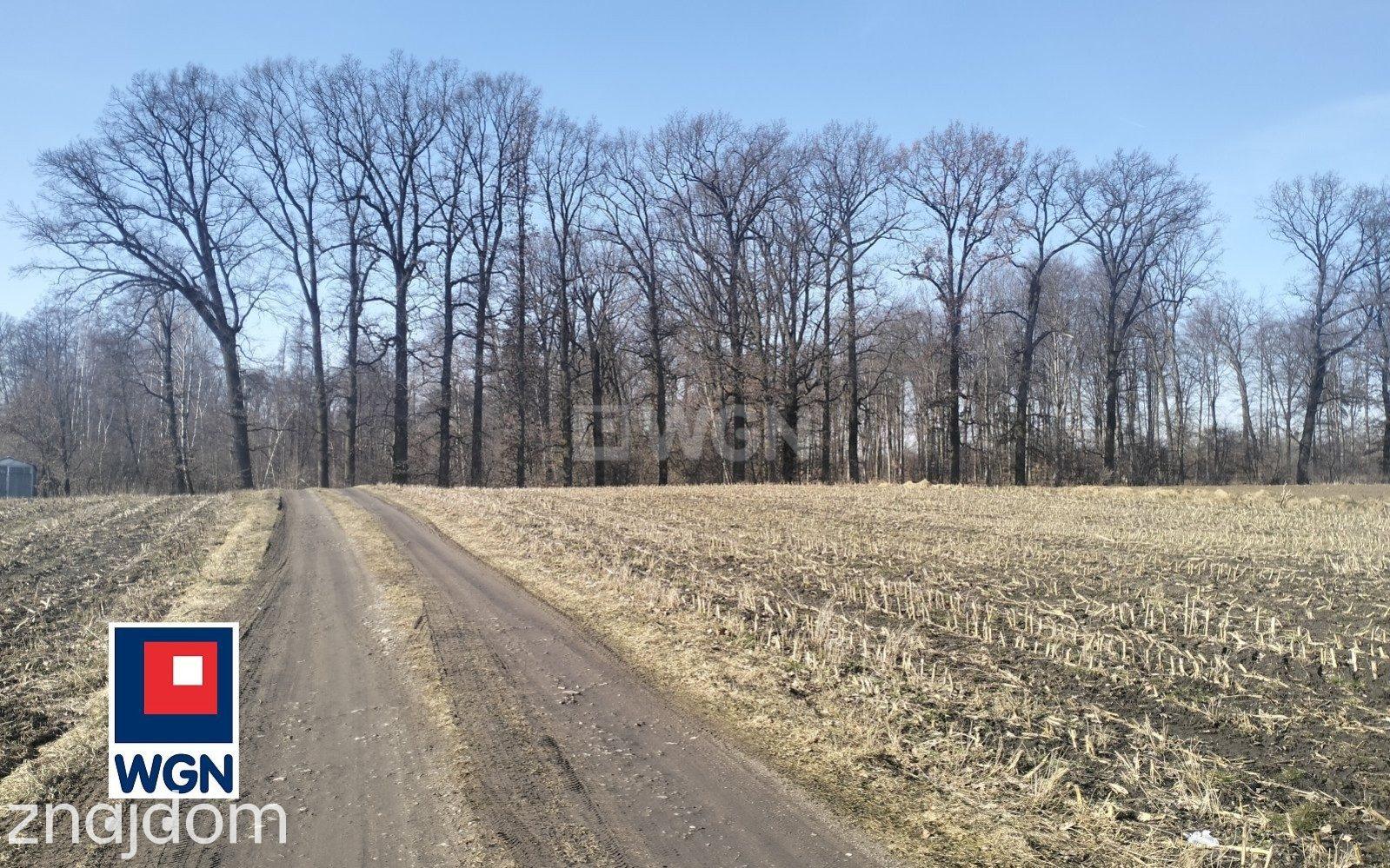 Dom na sprzedaż Tylice - Tani dom na dużej działce w Powiecie Brodnickim - zdjęcie 14