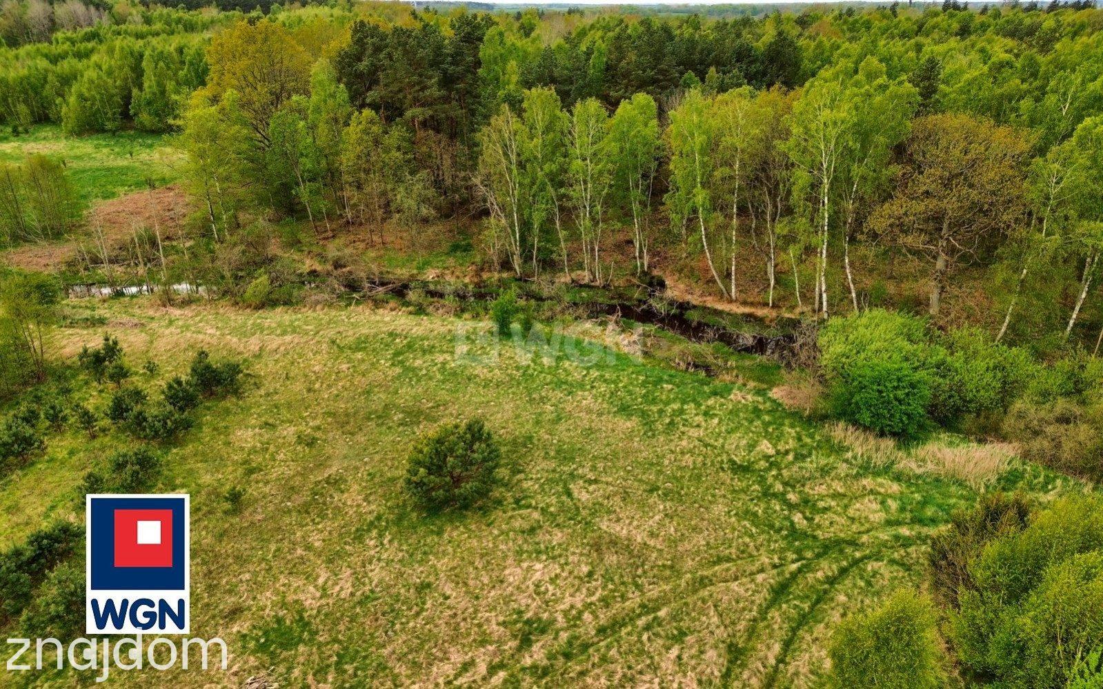 Grunt budowlany jednorodzinny na  sprzedaż Wytowno - Wytowno I 9800m2 I WZ I Media I Prowizja 0% - zdjęcie 2