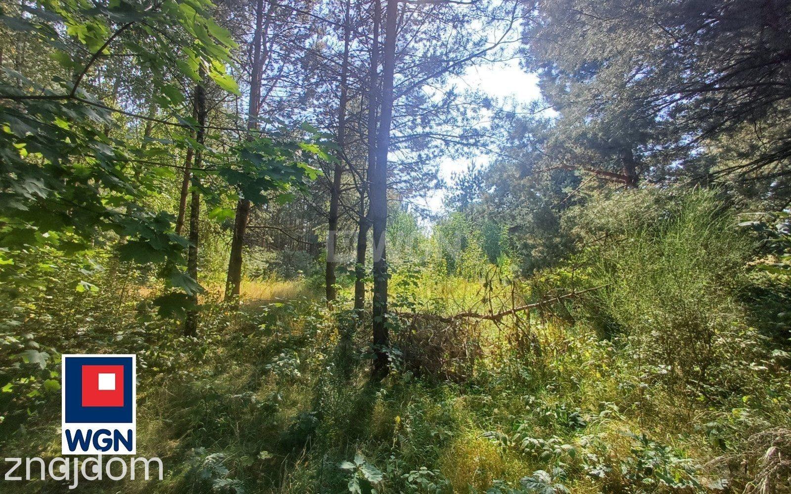 Działka na sprzedaż Kruszyny Szlacheckie - zdjęcie 9