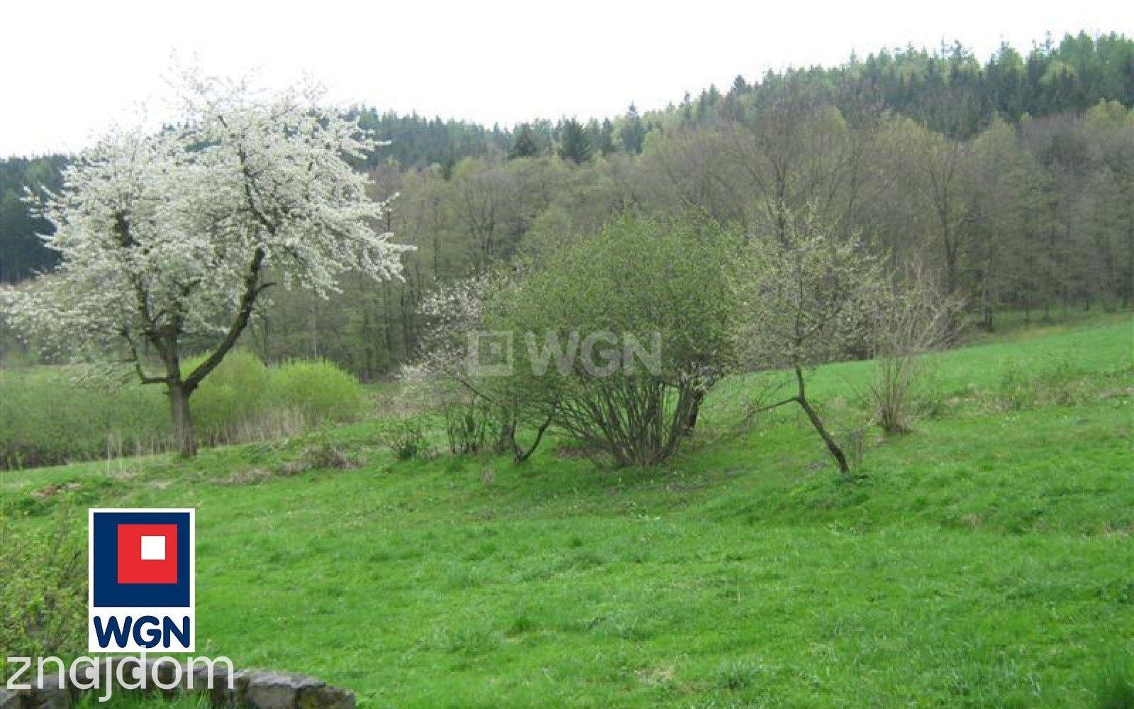 Działka na sprzedaż Szczytna - zdjęcie 5