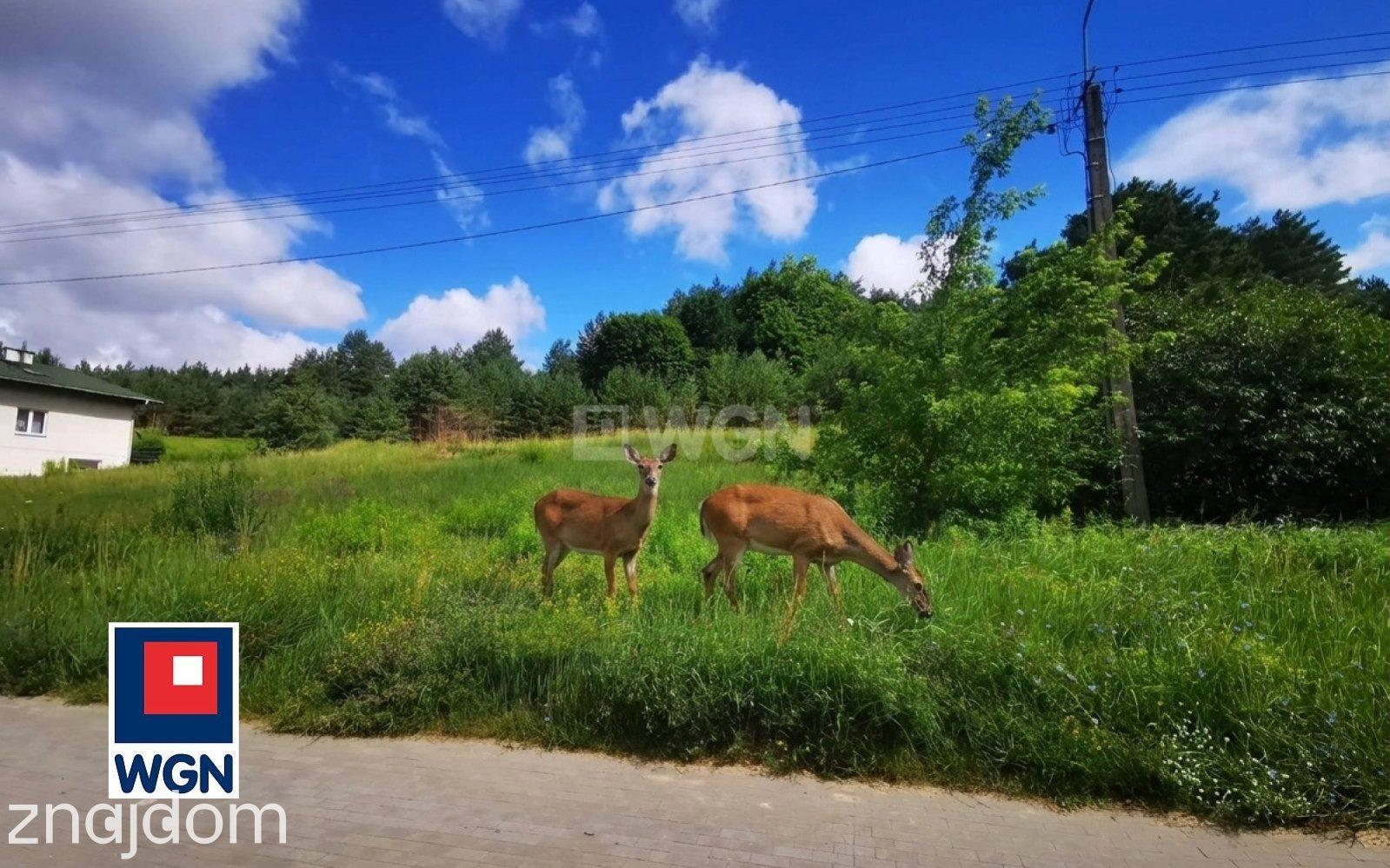 Grunt budowlany jednorodzinny na  sprzedaż Nawra - SPEŁNIJ MARZENIA O WŁASNYM DOMU! WYJĄTKOWA DZIAŁKA NAWRA - WARMIA I MAZURY - zdjęcie 14