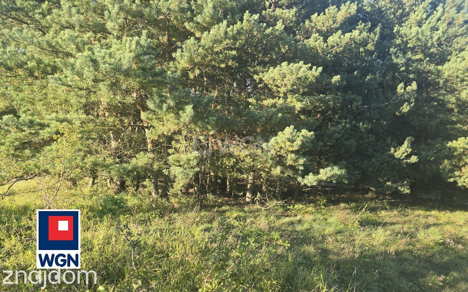 Grunt budowlany jednorodzinny na  sprzedaż Szabda - Działka Budowlana z WZ na dwa domy. - zdjęcie 15
