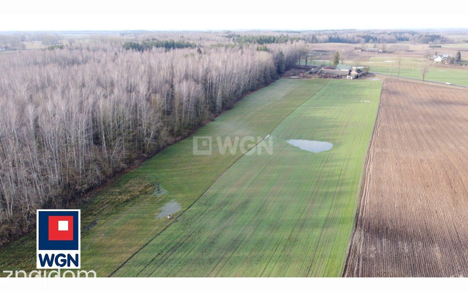 Dom na sprzedaż Borawskie - REZERWACJA | Siedlisko pod lasem 1,7 ha | Borawskie