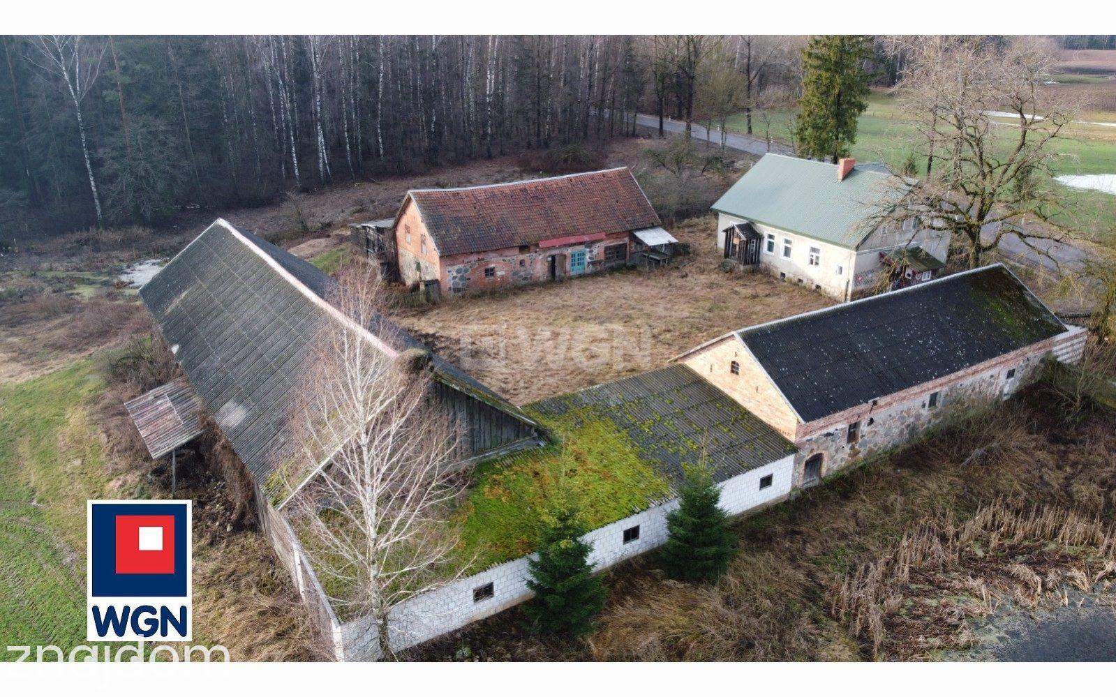Dom na sprzedaż Borawskie - REZERWACJA | Siedlisko pod lasem 1,7 ha | Borawskie - zdjęcie 7