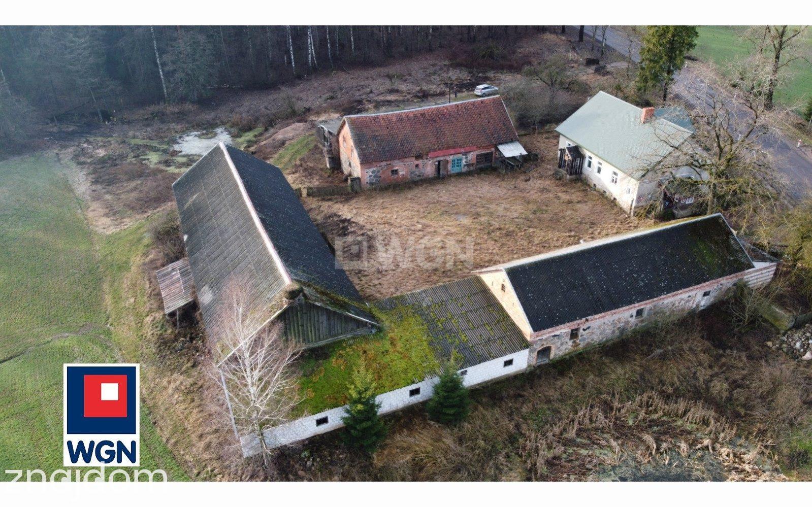 Dom na sprzedaż Borawskie - REZERWACJA | Siedlisko pod lasem 1,7 ha | Borawskie - zdjęcie 6