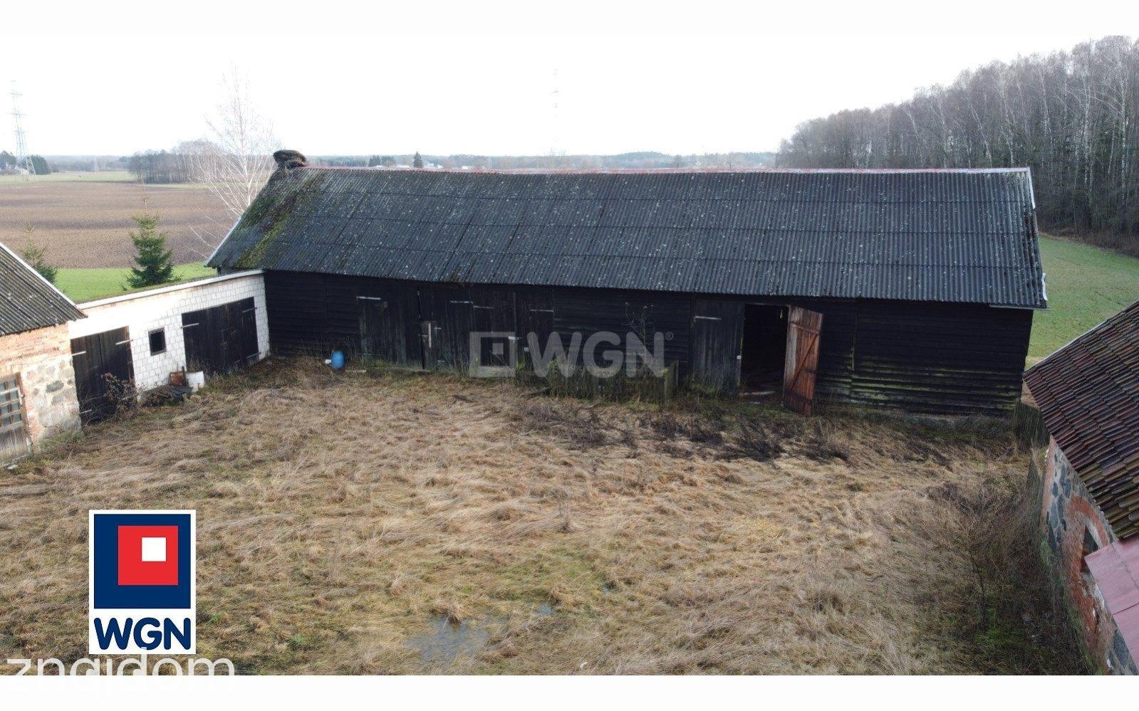 Dom na sprzedaż Borawskie - REZERWACJA | Siedlisko pod lasem 1,7 ha | Borawskie - zdjęcie 5