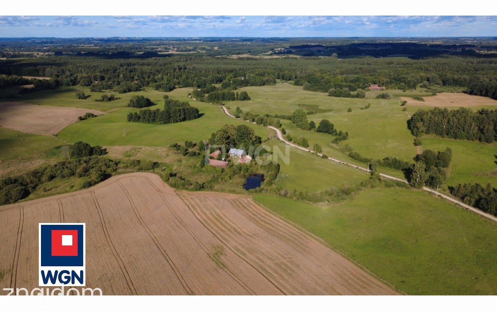 Grunt rolny na sprzedaż Jelonek - MAZURSKIE GOSPODARSTWO 46,24 HA | SIEDLISKO | STAW | ŁAŹNA STRUGA | PUSZCZA BORECKA - zdjęcie 9