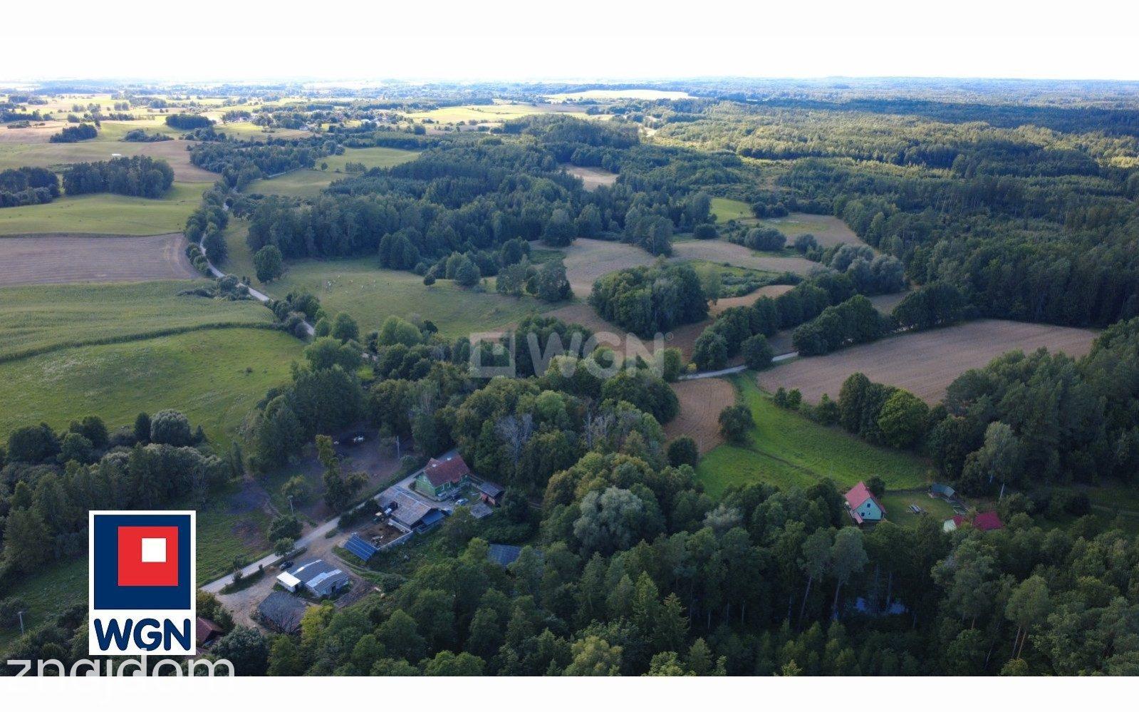 Grunt rolny na sprzedaż Jelonek - MAZURSKIE GOSPODARSTWO 46,24 HA | SIEDLISKO | STAW | ŁAŹNA STRUGA | PUSZCZA BORECKA - zdjęcie 7