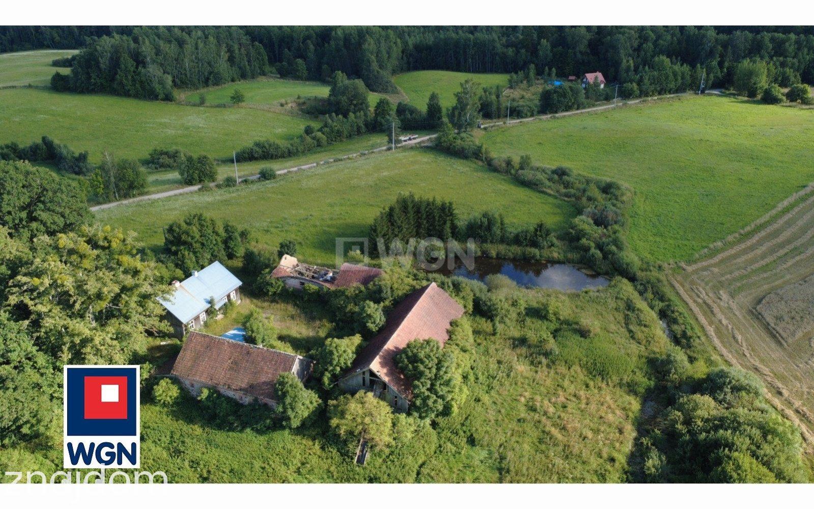 Grunt rolny na sprzedaż Jelonek - MAZURSKIE GOSPODARSTWO 46,24 HA | SIEDLISKO | STAW | ŁAŹNA STRUGA | PUSZCZA BORECKA - zdjęcie 6