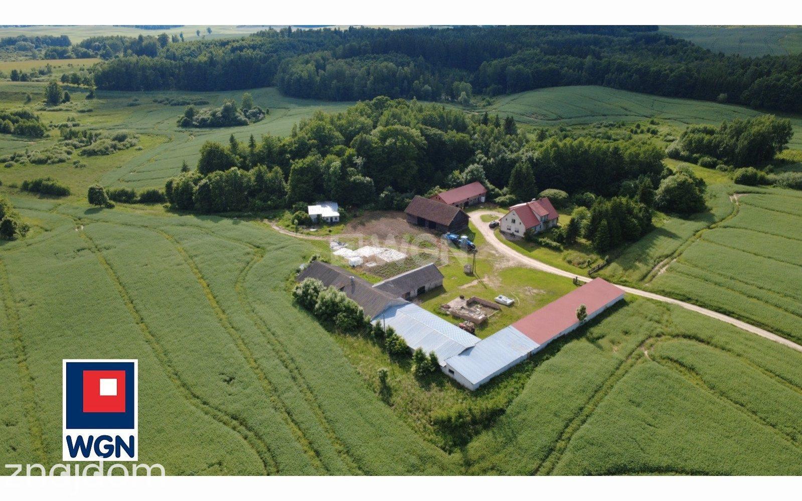Grunt rolny na sprzedaż Szarejki - Szarejki, gm. Kowale Oleckie | gospodarstwo rolne o pow. 32,8 ha z budynkami gospodarczymi - zdjęcie 20
