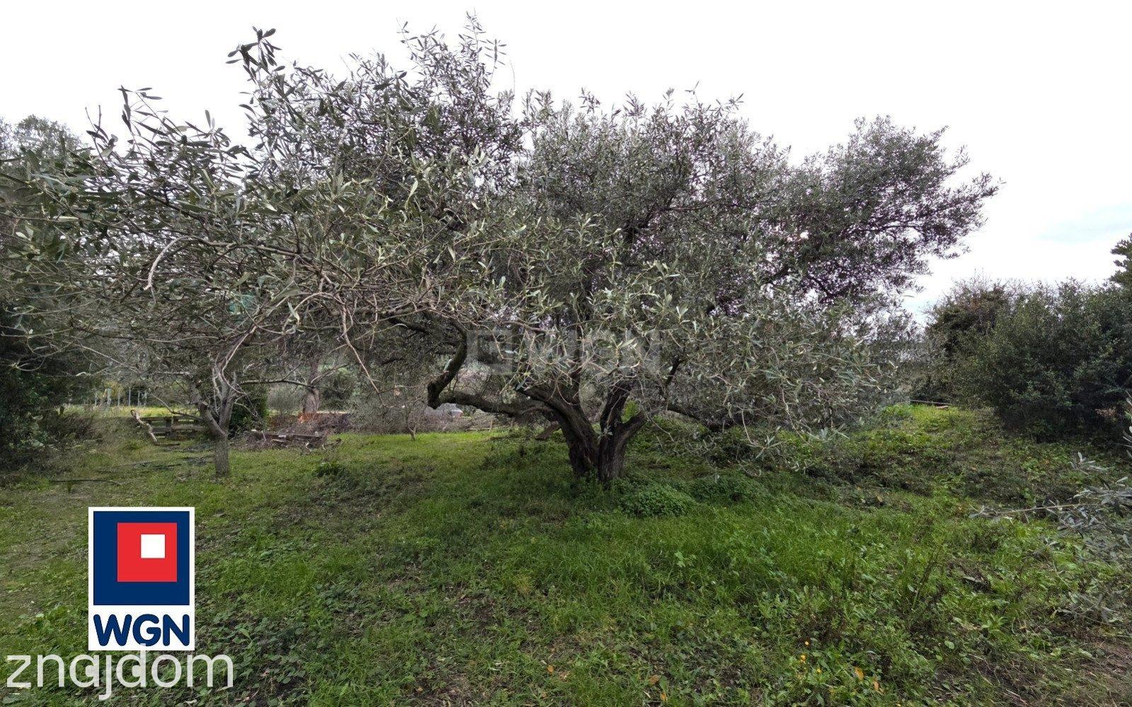 Dom na  sprzedaż CASTELSARDO - NOWY DOM PRZY MORZU - zdjęcie 3