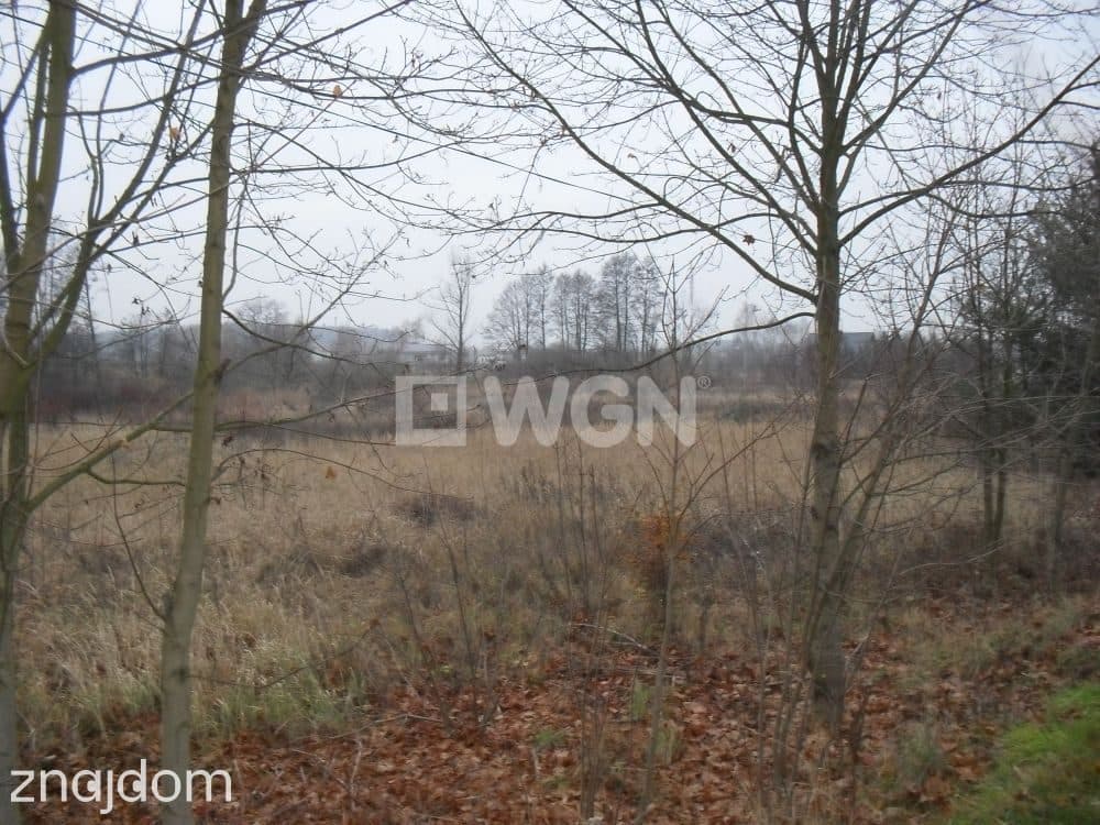 Działka na sprzedaż Jerzmanowa - zdjęcie 4