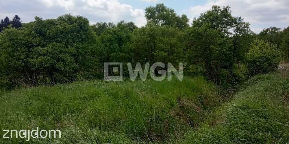 Działka na sprzedaż Jerzmanowa - zdjęcie 8
