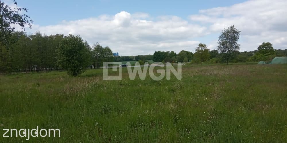 Działka na sprzedaż Jerzmanowa - zdjęcie 7