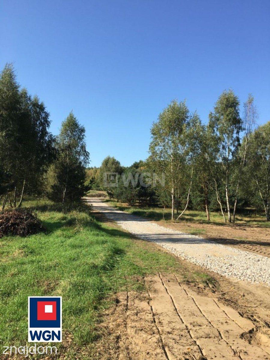 Grunt budowlany jednorodzinny na  sprzedaż Graniczna Wieś - duża działka z lasem, wydane WZ - zdjęcie 6