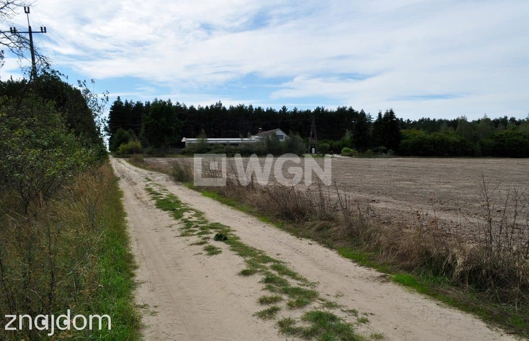 Działka na sprzedaż Gola