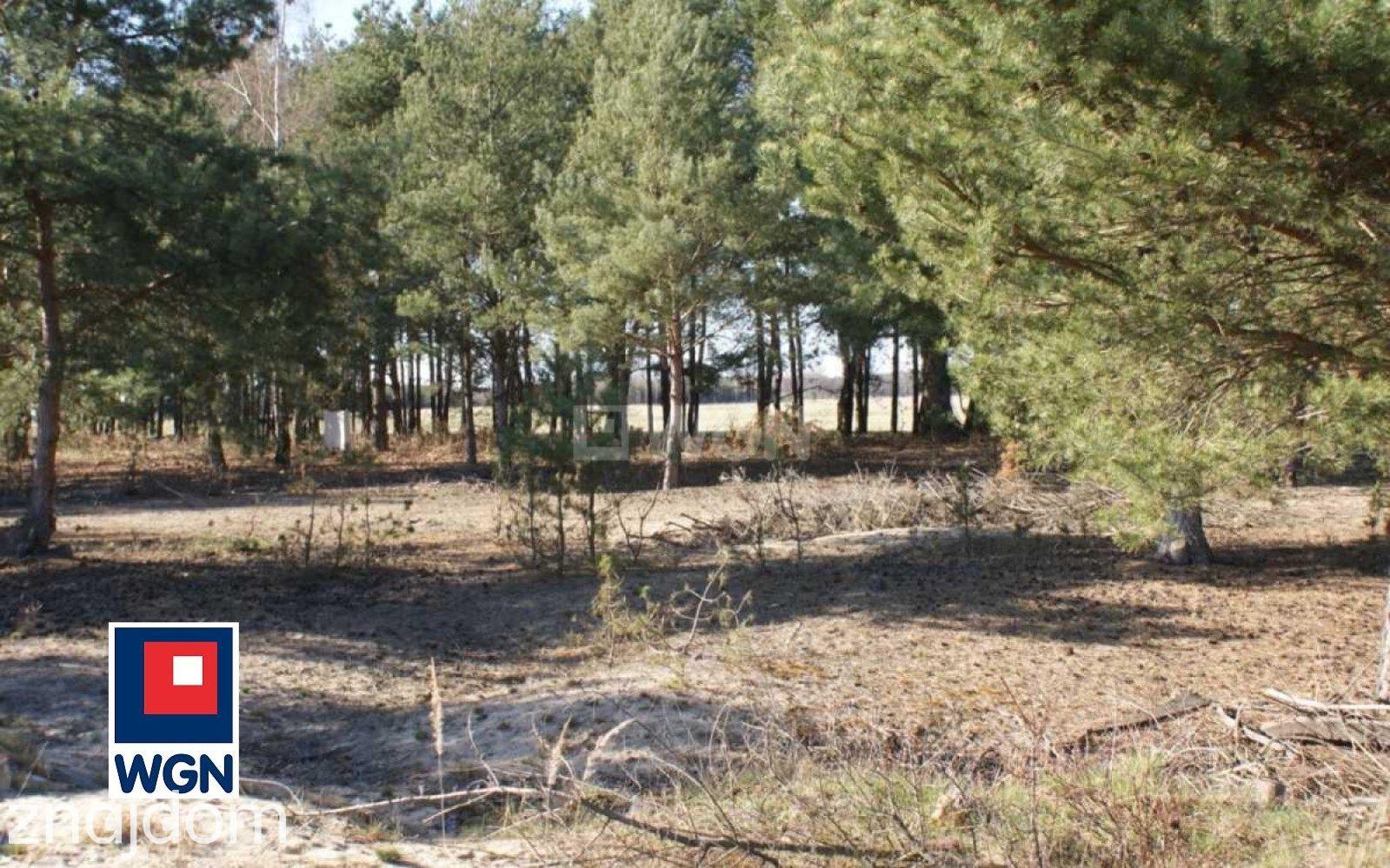 Działka na sprzedaż Moszowice - zdjęcie 2