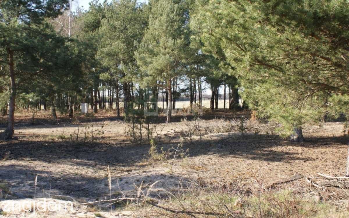 Działka na sprzedaż Moszowice - zdjęcie 3