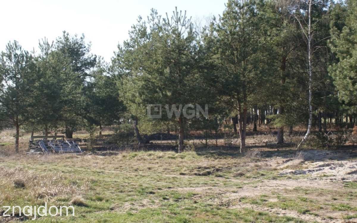 Działka na sprzedaż Moszowice - zdjęcie 17