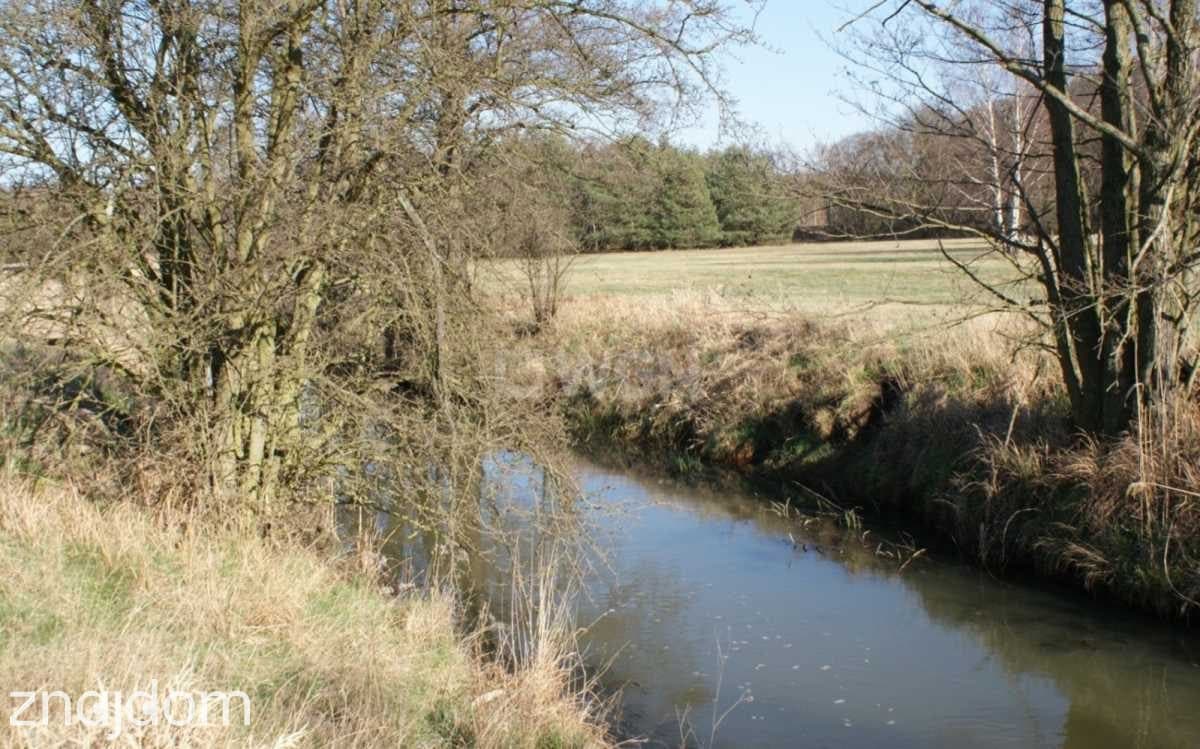 Działka na sprzedaż Moszowice - zdjęcie 13