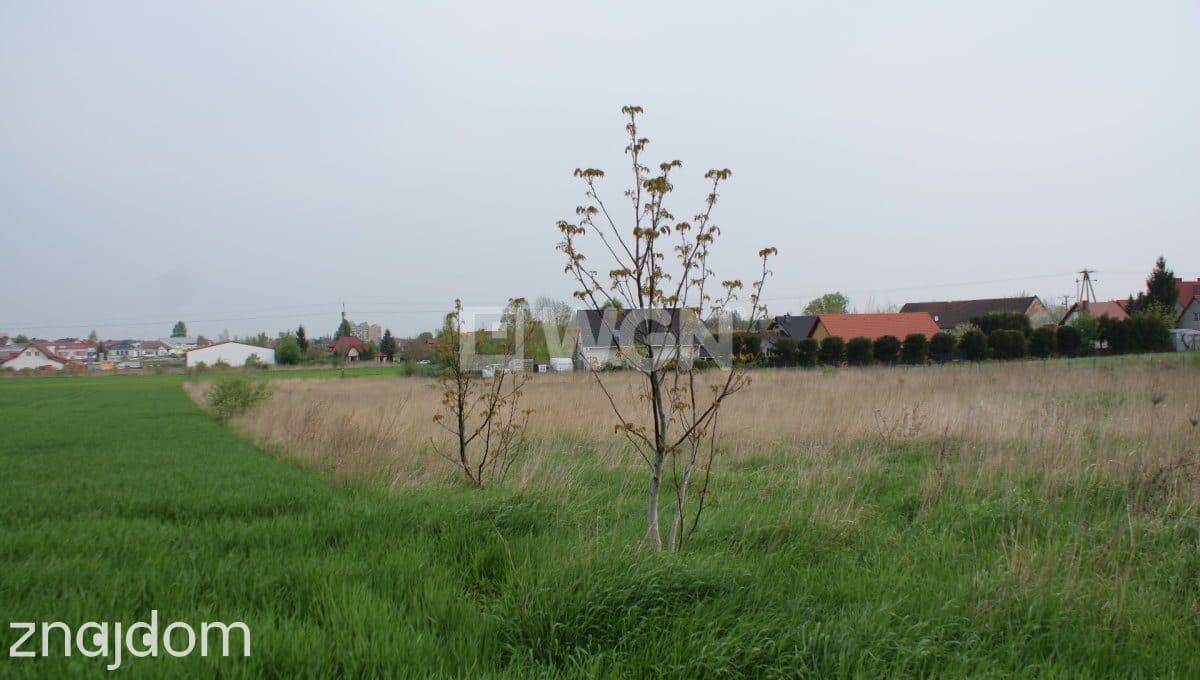 Działka na sprzedaż Ruszowice - zdjęcie 5