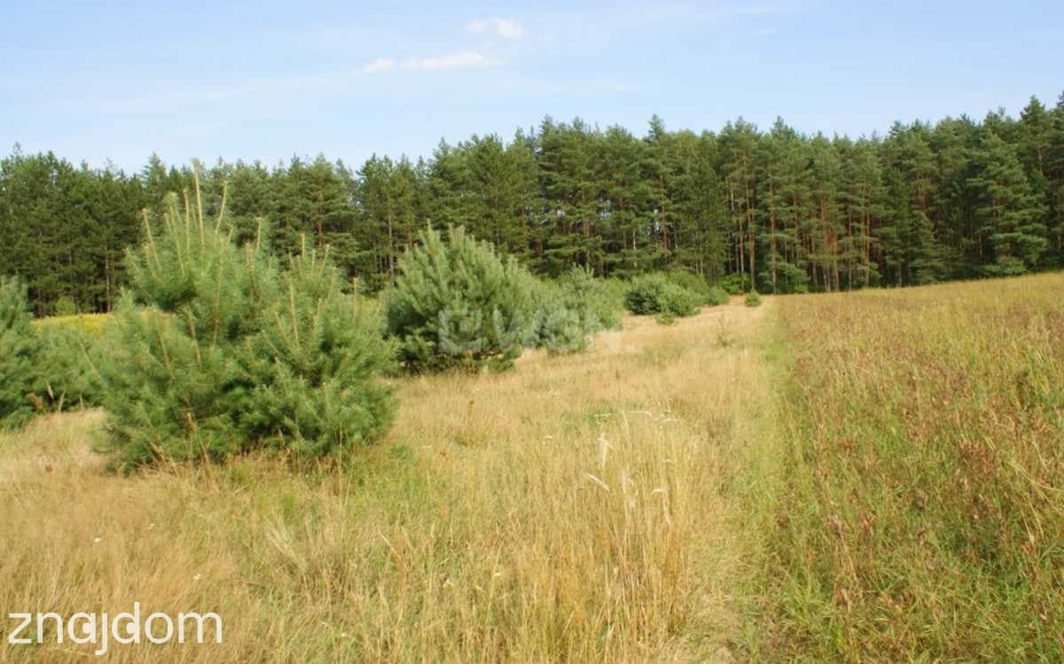 Działka na sprzedaż Trzęsów - zdjęcie 3