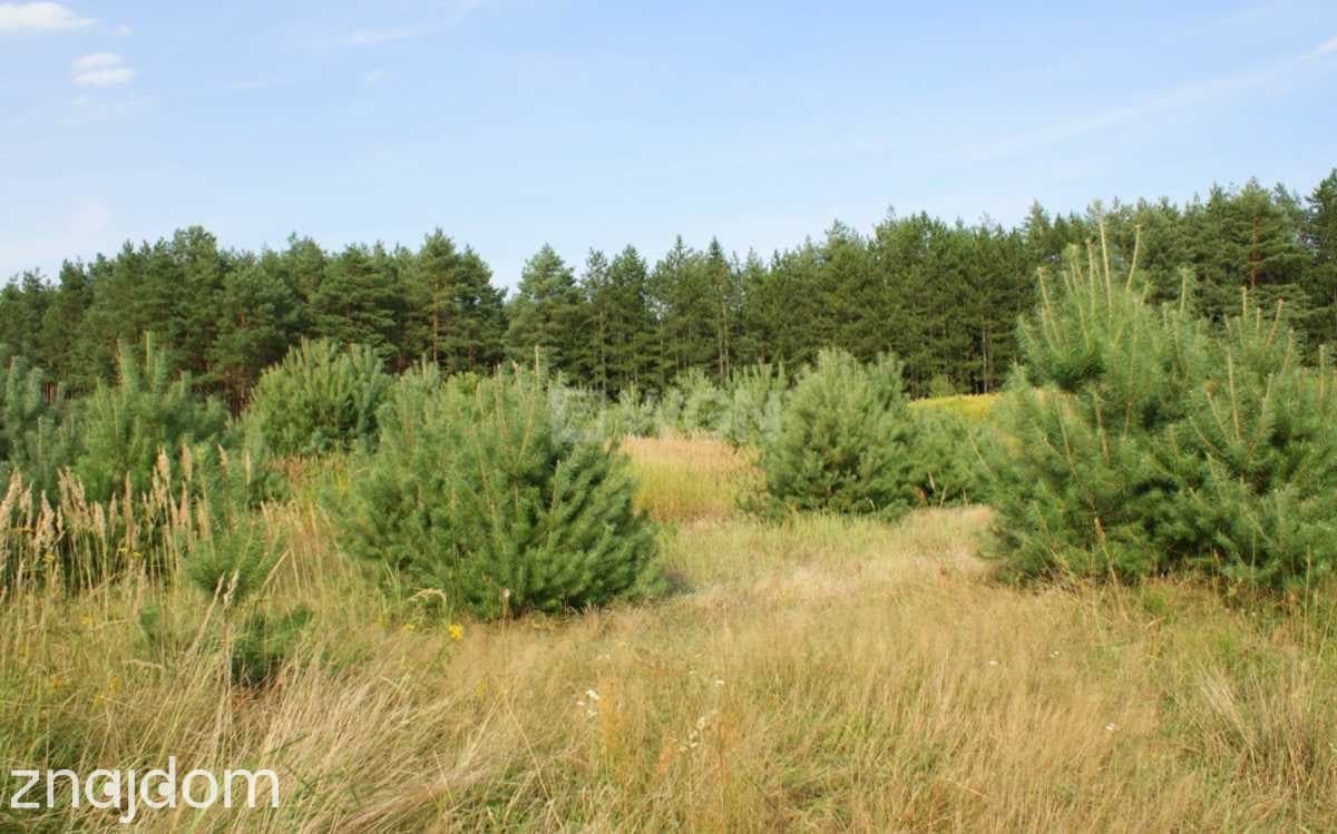Działka na sprzedaż Trzęsów - zdjęcie 2
