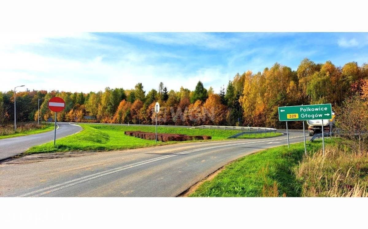 Dom na sprzedaż Jerzmanowa - zdjęcie 18