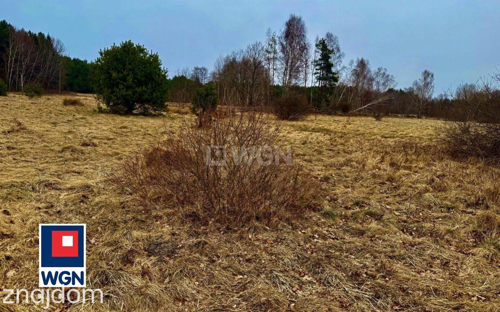 Działka na sprzedaż Machowinko - zdjęcie 6