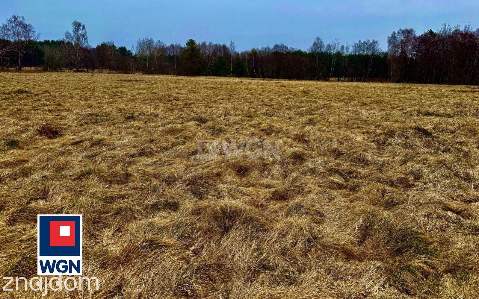 Działka na sprzedaż Machowinko - zdjęcie 11