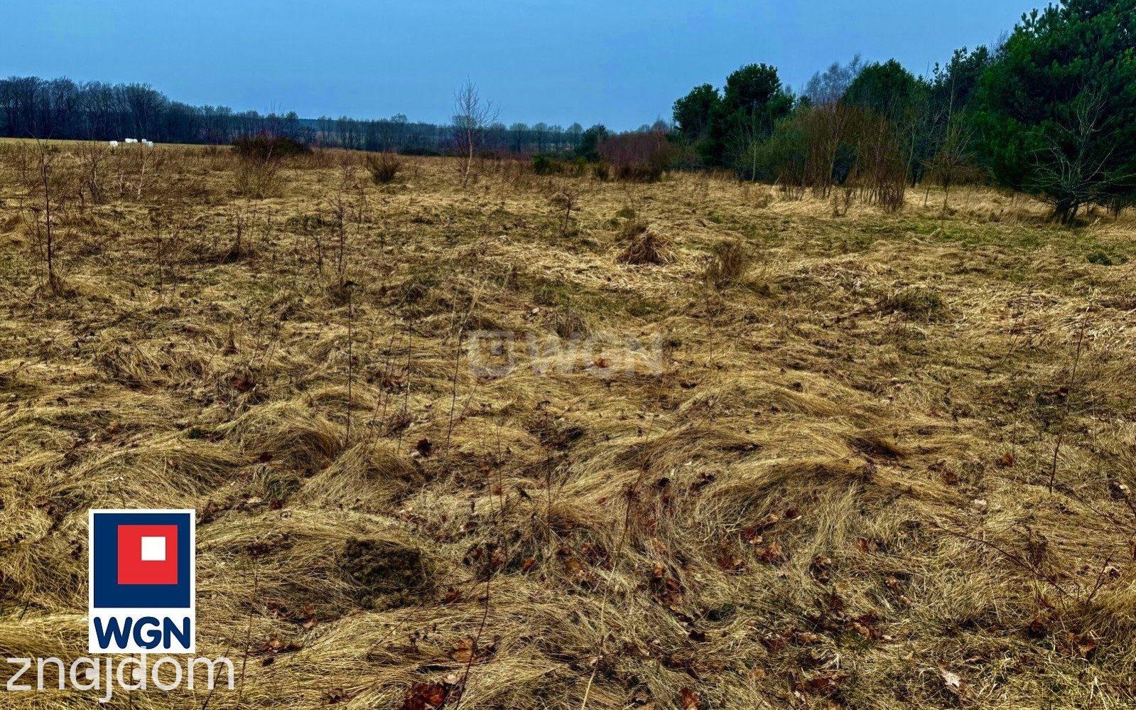 Działka na sprzedaż Machowinko - zdjęcie 10