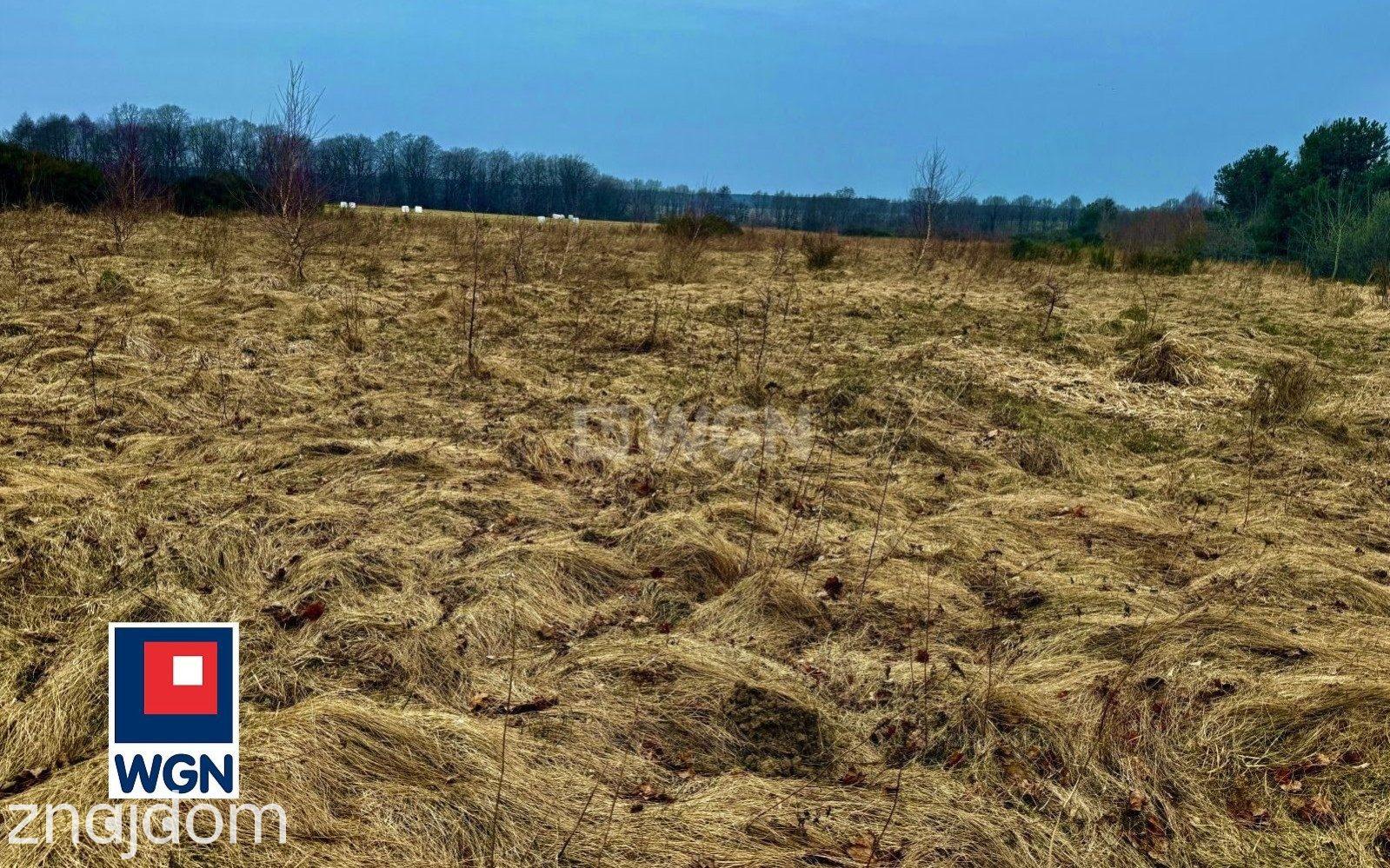 Działka na sprzedaż Machowinko - zdjęcie 11