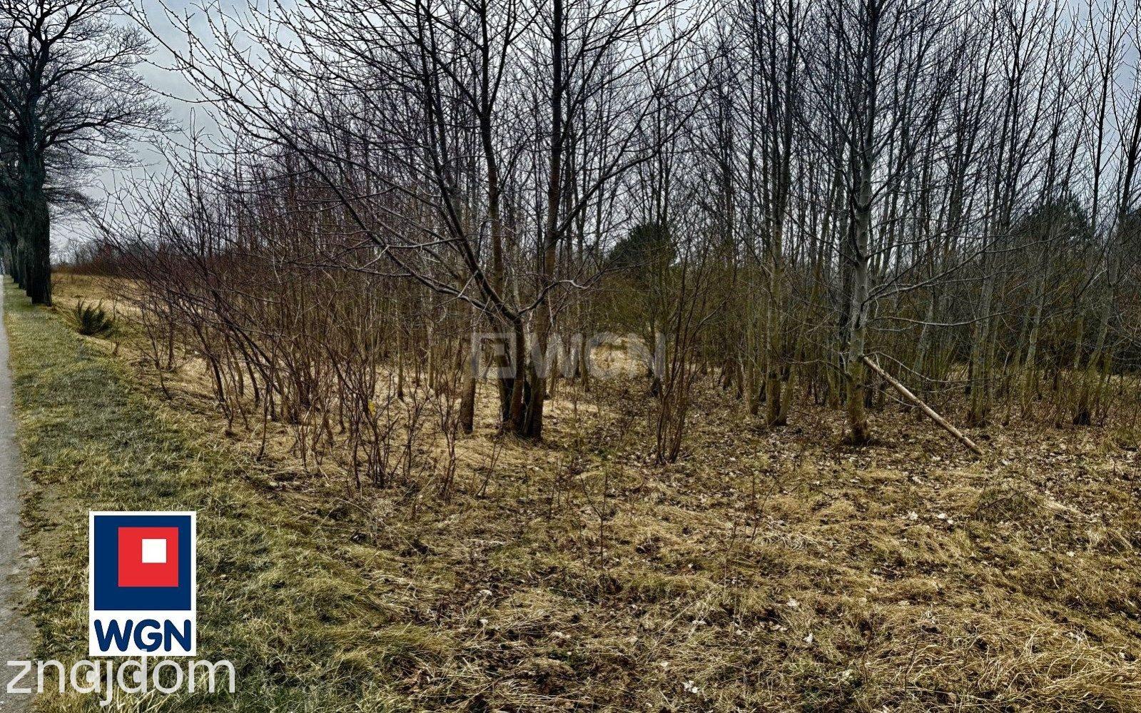 Działka na sprzedaż Machowinko - zdjęcie 2