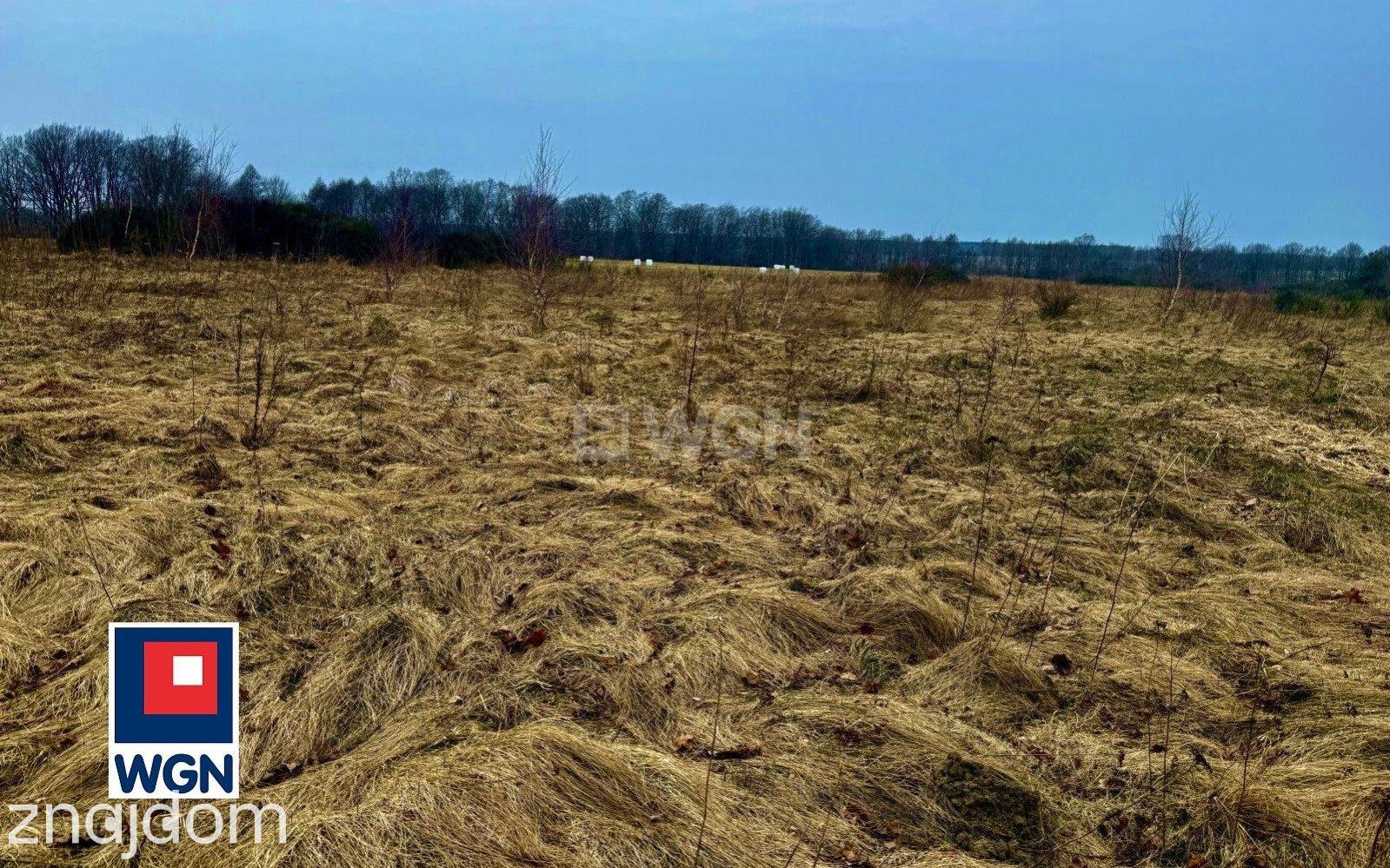 Działka na sprzedaż Machowinko - zdjęcie 11