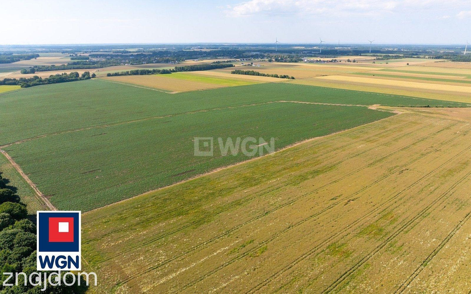 Działka na sprzedaż Słupsk - zdjęcie 6