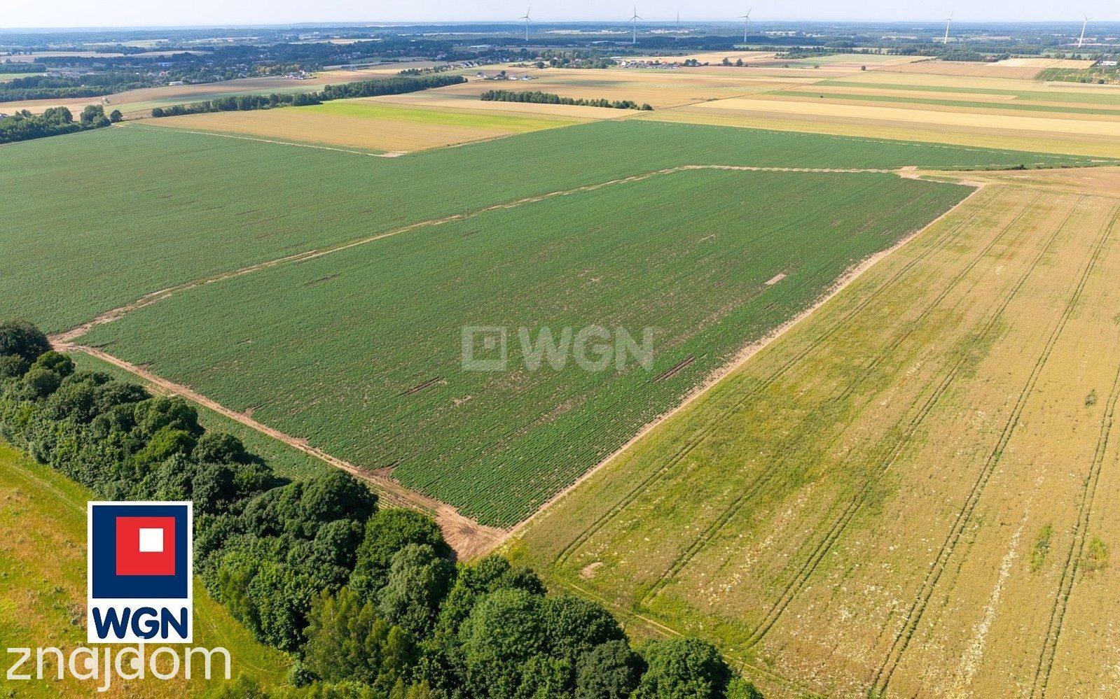 Działka na sprzedaż Słupsk - zdjęcie 8