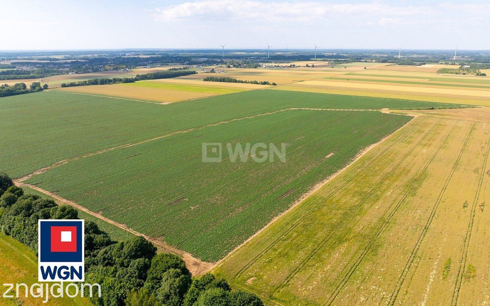 Działka na sprzedaż Słupsk - zdjęcie 9