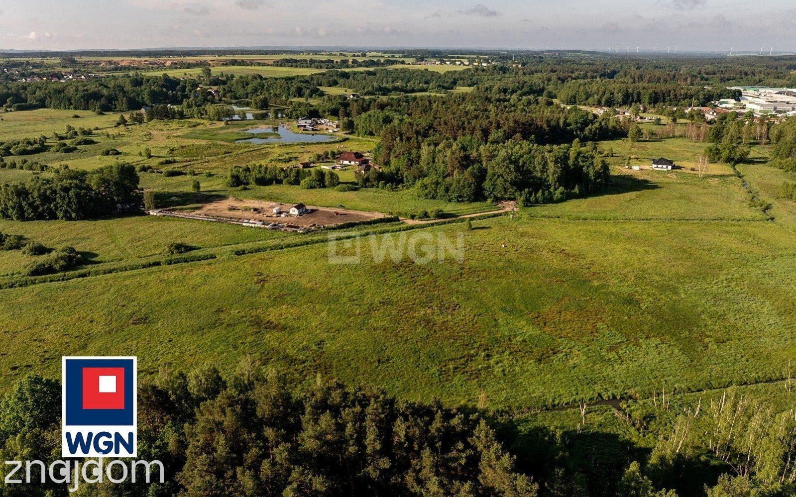 Działka na sprzedaż Głobino - zdjęcie 6